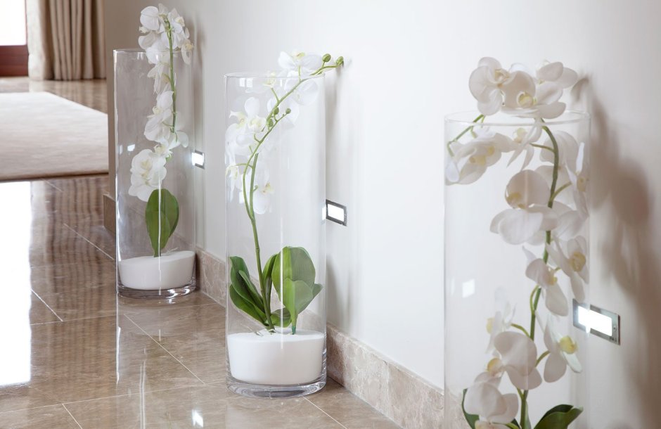 Орхидеи в интерьере квартиры