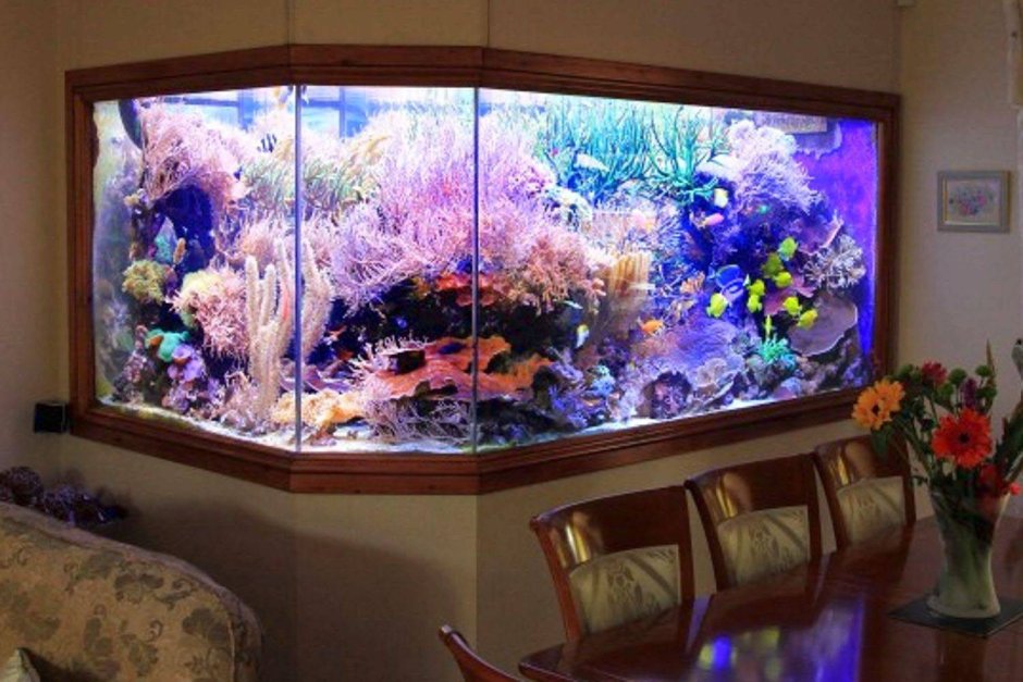 Шикарный аквариум