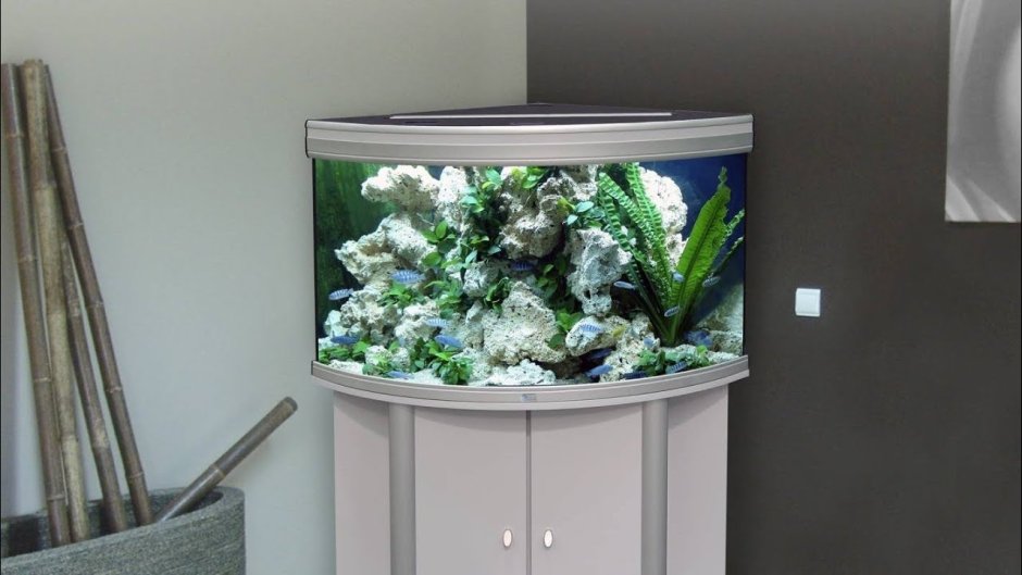 Угловой аквариум