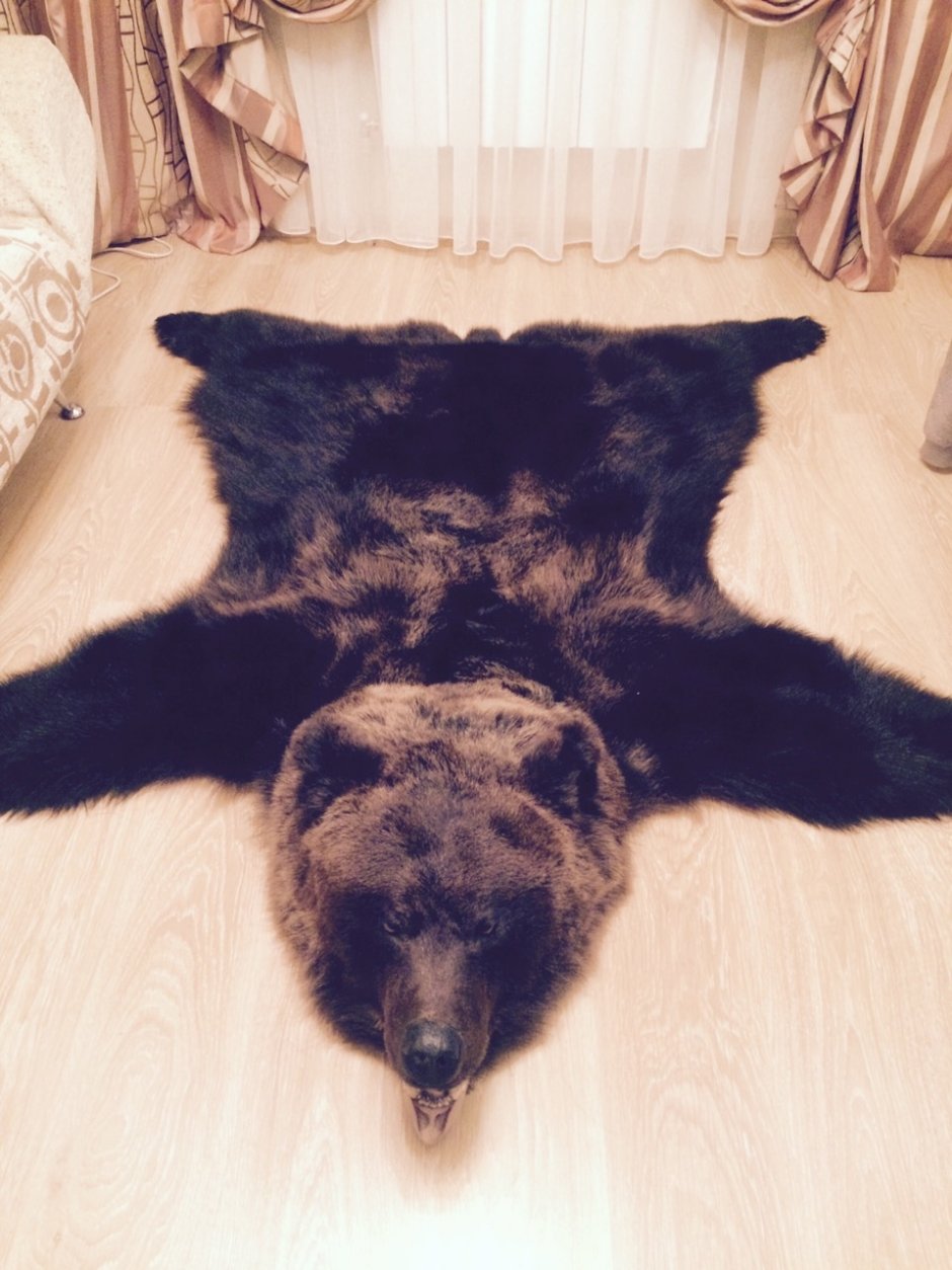 Шкура медведя в интерьере квартиры