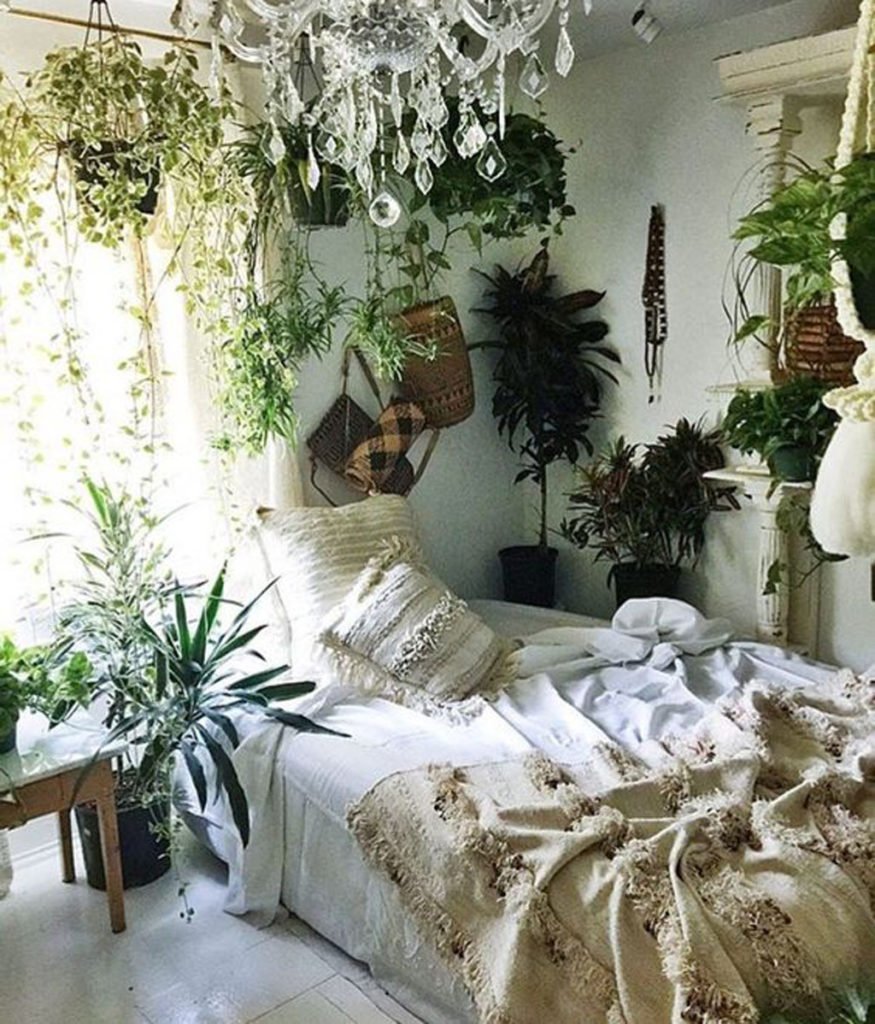 Комната с растениями
