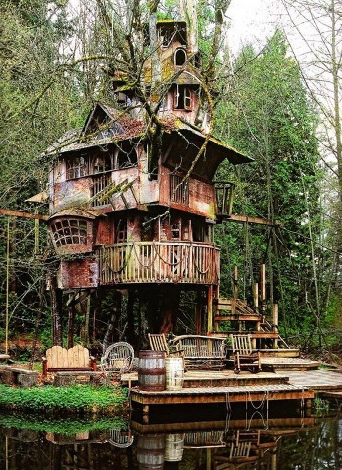 Необычный дом в лесу