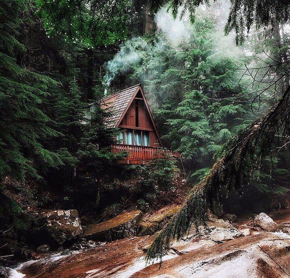 Хоккайдо лес