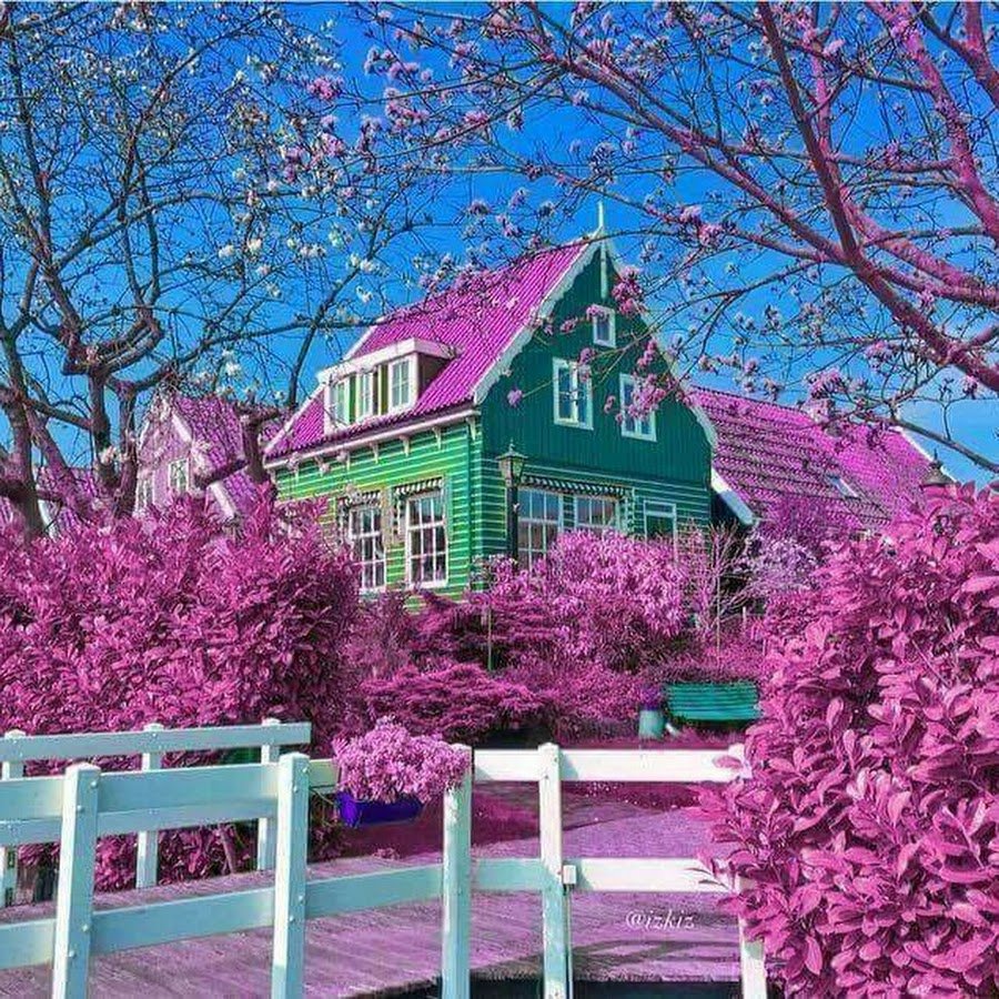 Розовый домик