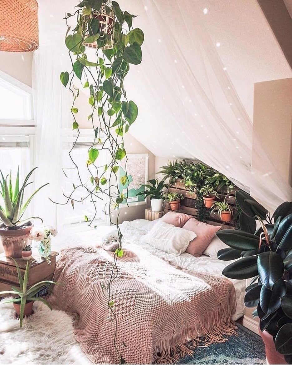 Уютная комната с цветами