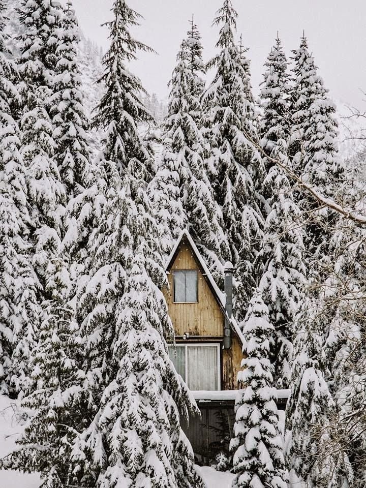 Дом в лесу зимой (83 фото)