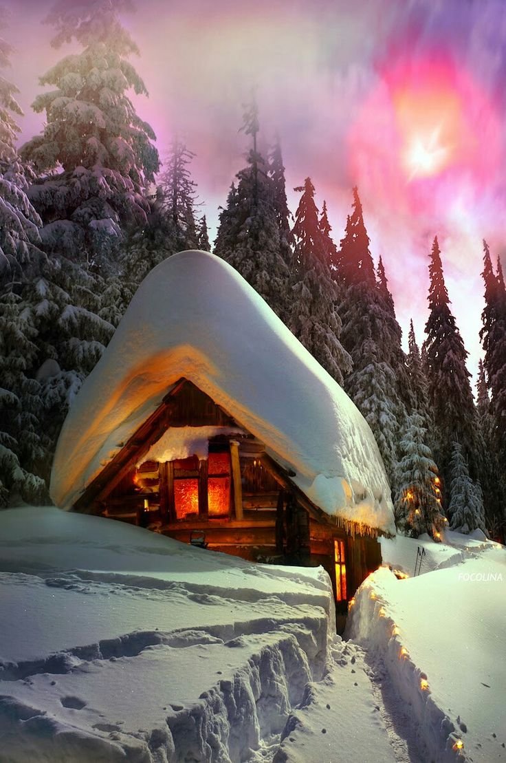 Красивый дом в заснеженном лесу