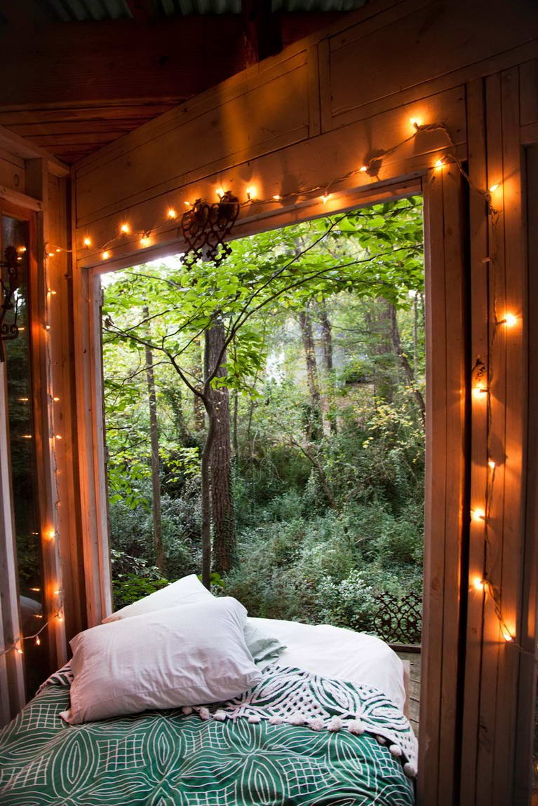 Уютная комната с видом на лес