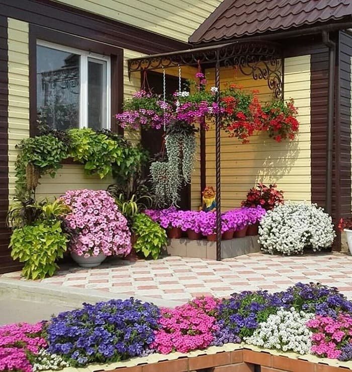 Фото клумбы с цветами возле дома своими руками