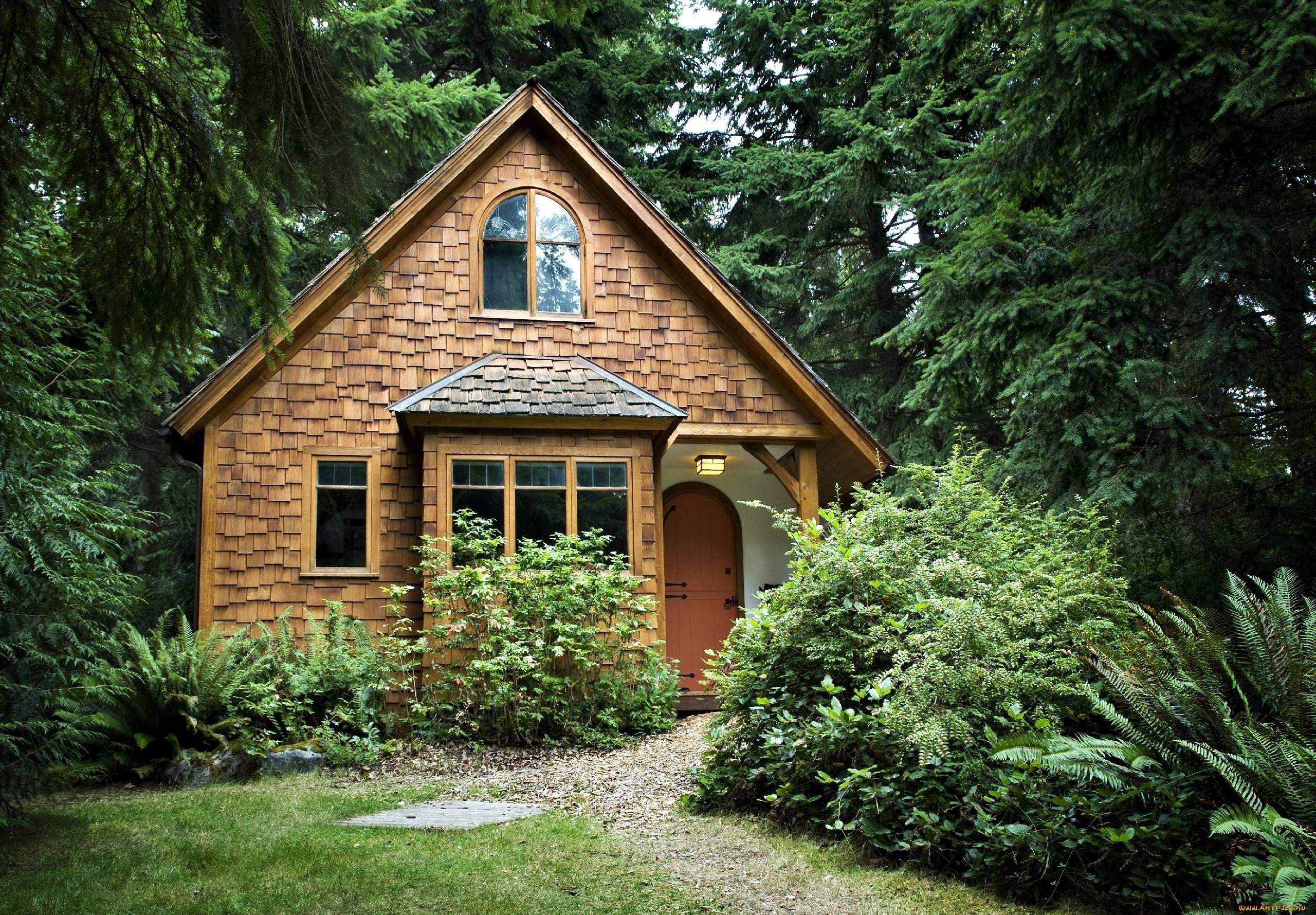 Покажи красивый домик. Маленький домик. Маленький уютный домик. Домик в лесу. Красивые маленькие домики.