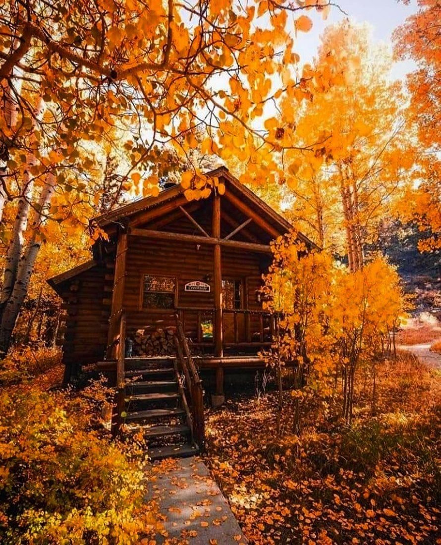 Осень домик в лесу