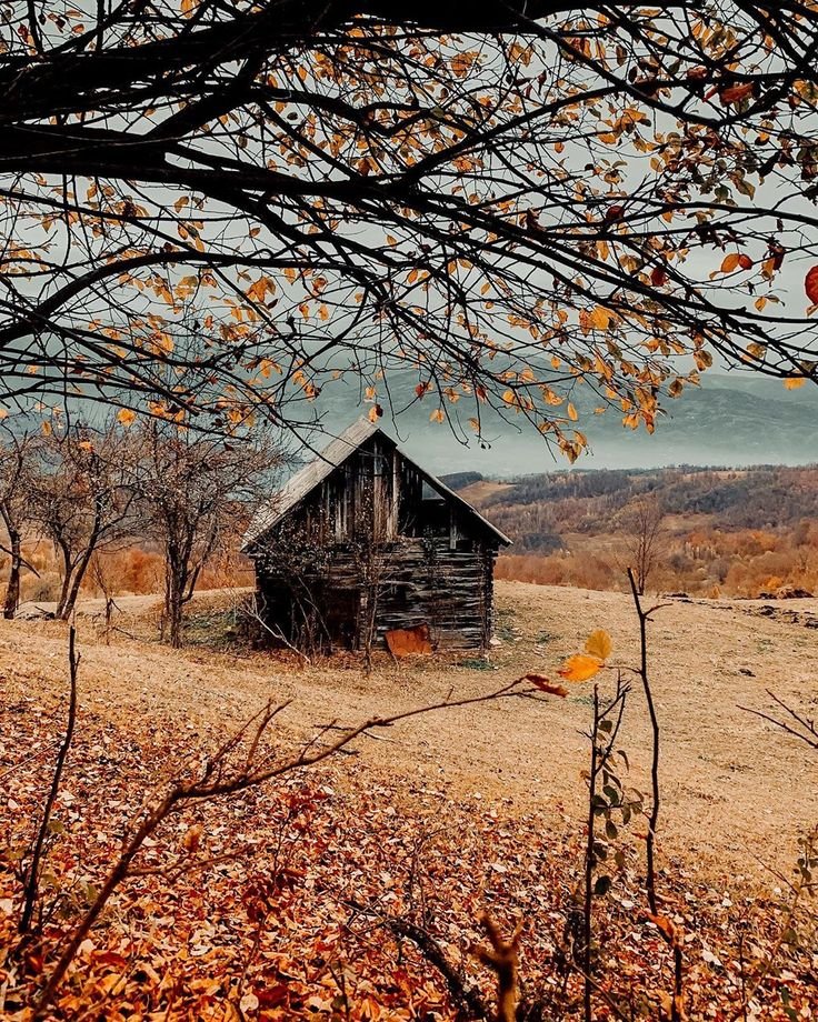 Осенний домик (81 фото)