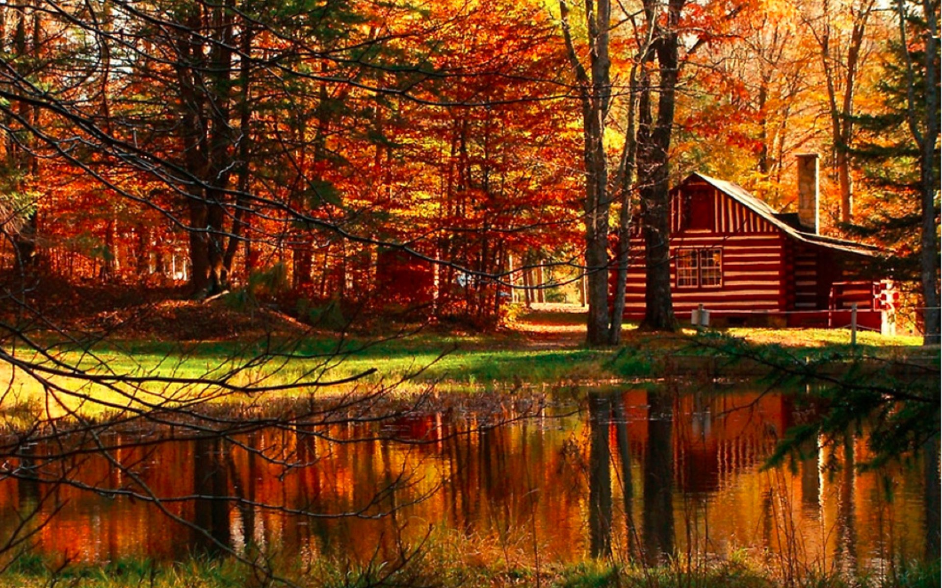 Деревянный дом пейзаж. Домик в лесу. Домик в осеннем лесу. Красивый домик в лесу. Осень домик в лесу.