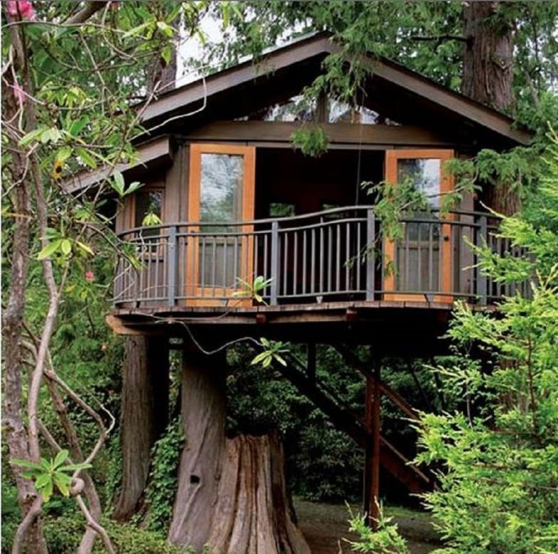 Небольшой дом на дереве