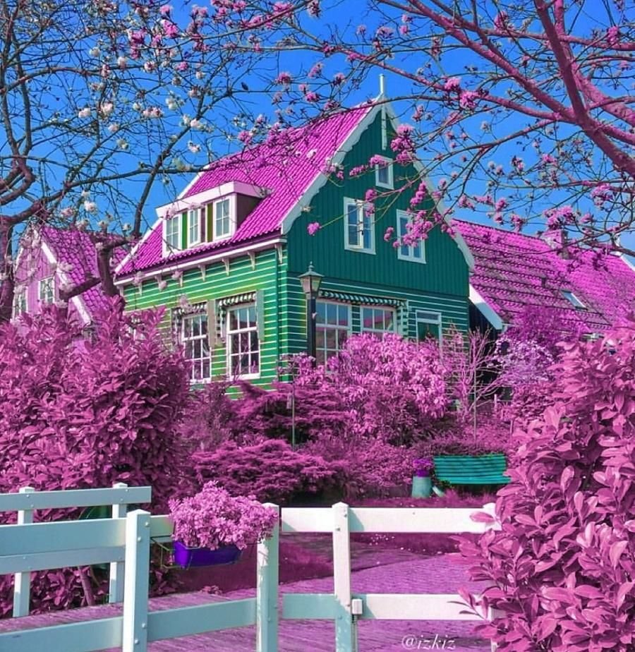 Фиолетовый дом