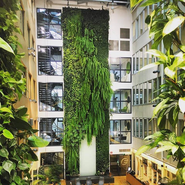 Живые зеленые стены natural Greenwalls