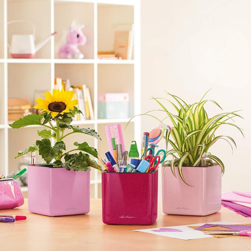 Lechuza Cube Glossy
