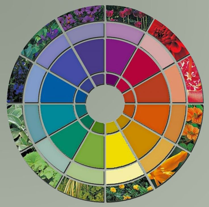 Цветовой круг для цветников