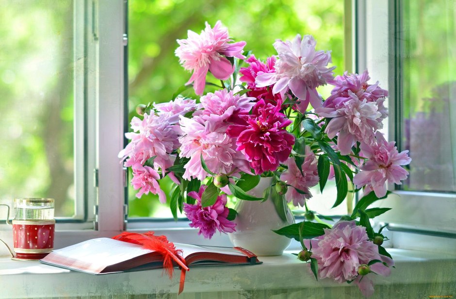 Весенние цветы на окне