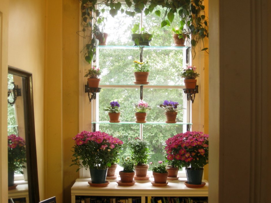 Подвесные растения на окне