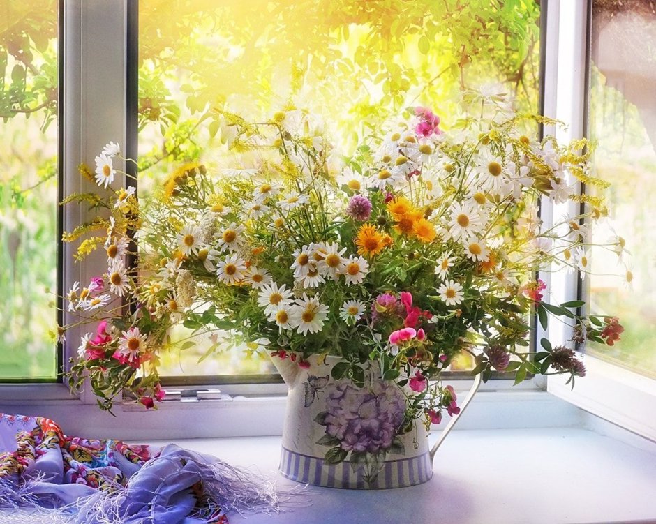 Цветы на фоне окна