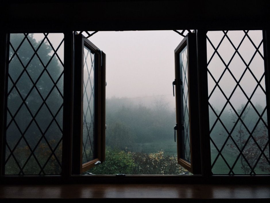 Окно с видом на лес