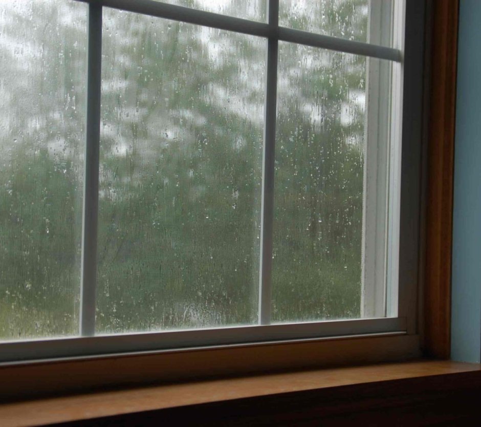 Вид из окна дождь