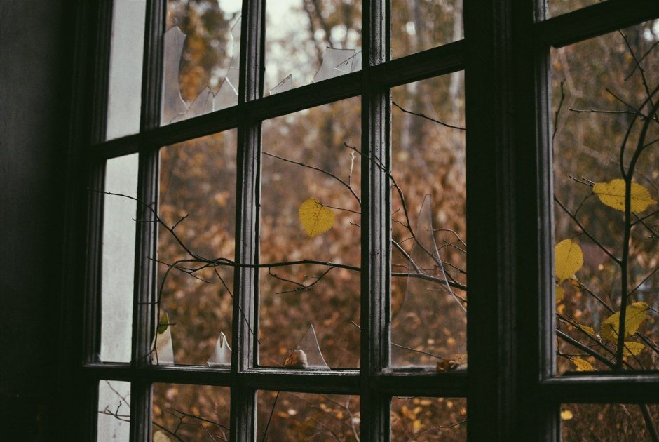 Поздняя осень из окна