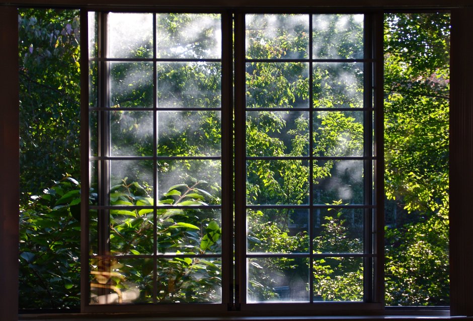 Сад в окне
