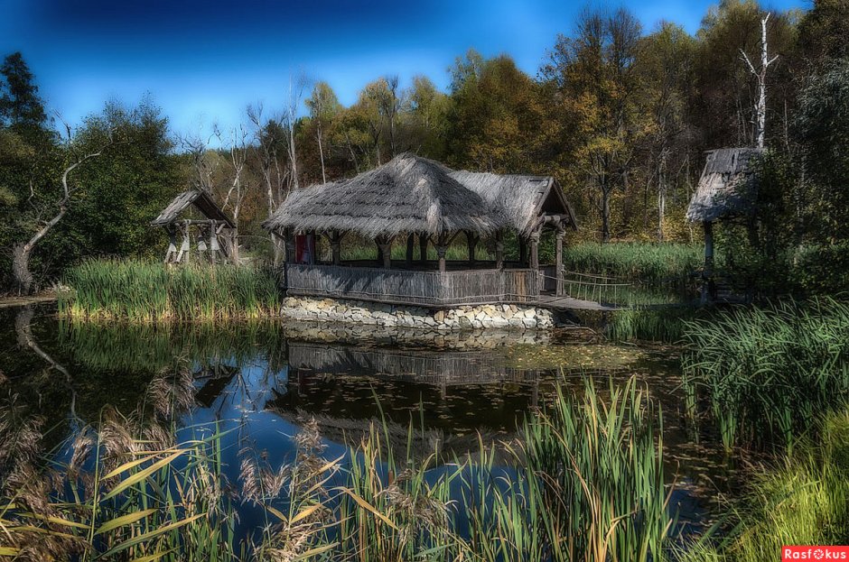 Дом на болоте