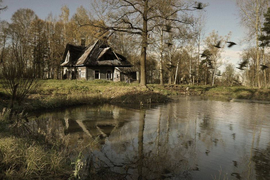 Сталкер дом на болоте