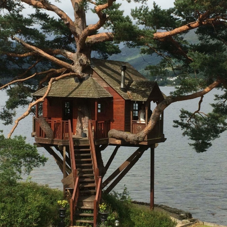 Дом на дереве ТЛС