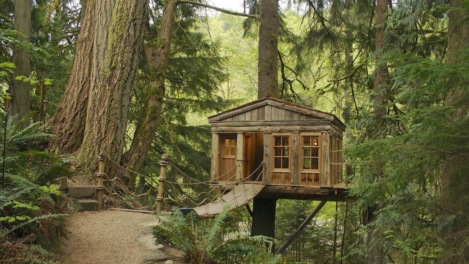 В лесу домик небольшой на дереве