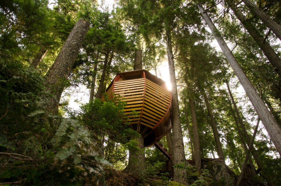 Дом на дереве (Британская Колумбия, Канада)