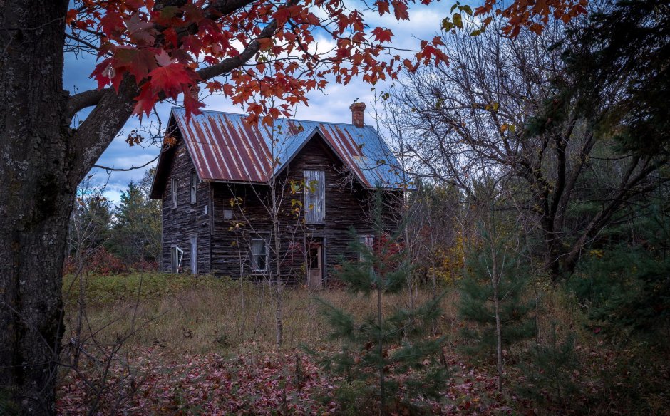 Осень заброшенный дом