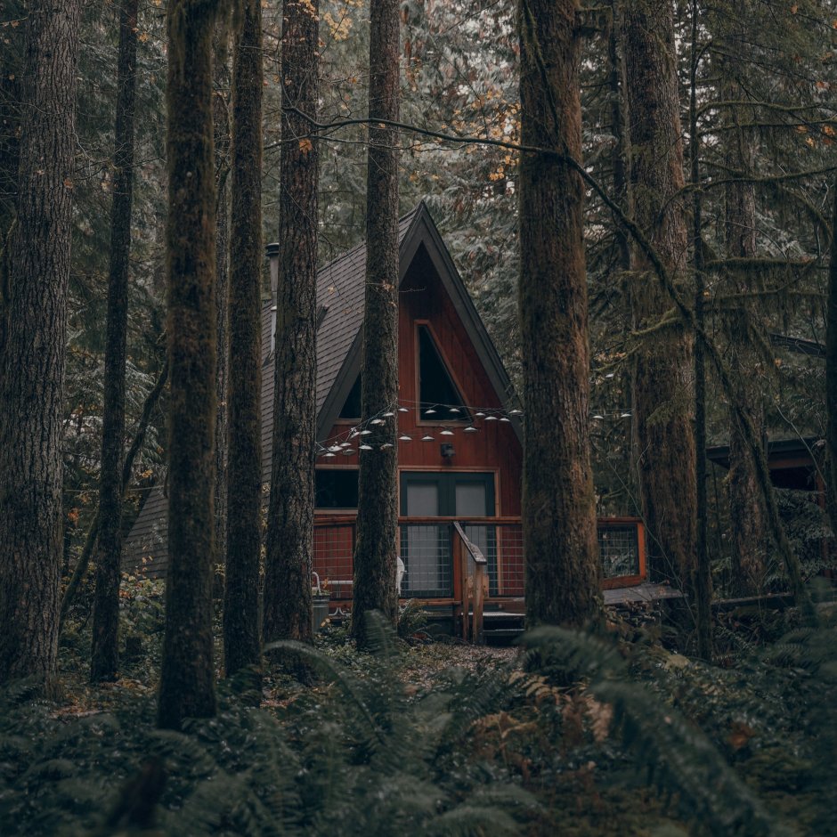 Дом среди леса