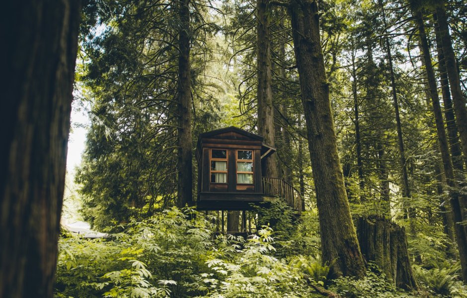 Атмосферный дом в лесу