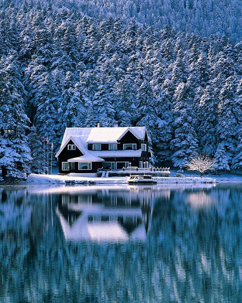 Озеро Абант Турция зимой