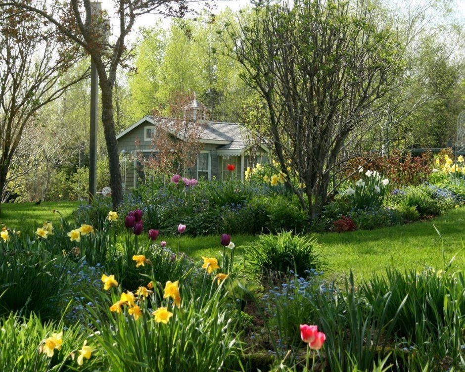 Домик с цветущим садом