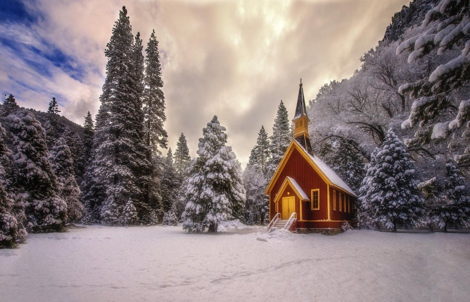 Дом в зимнем лесу