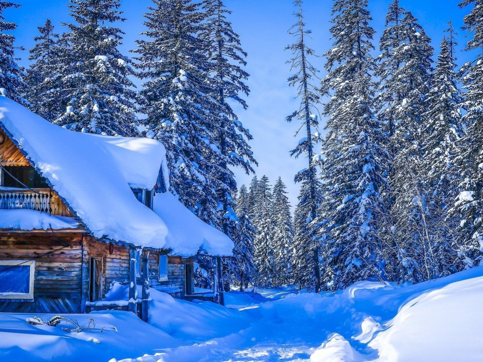 Зима природа домик