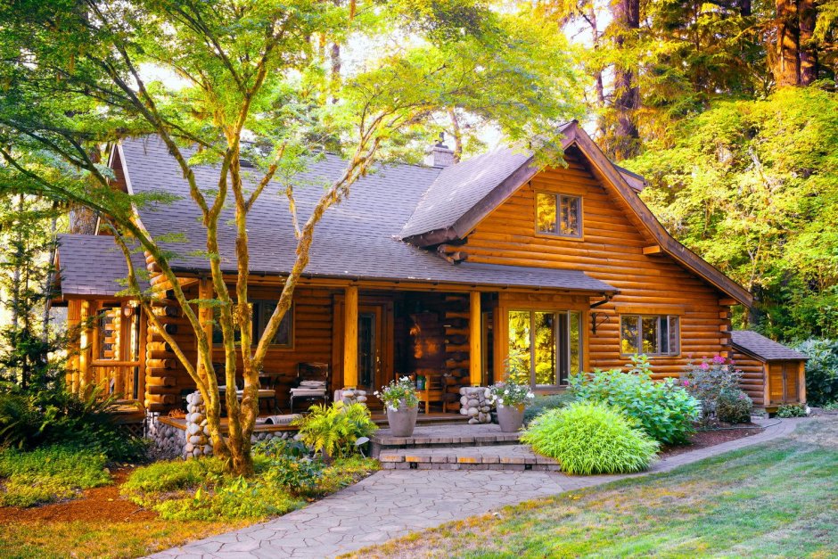 Красивый домик в лесу