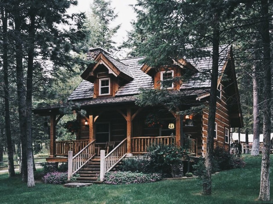 Бревенчатый домик в лесу