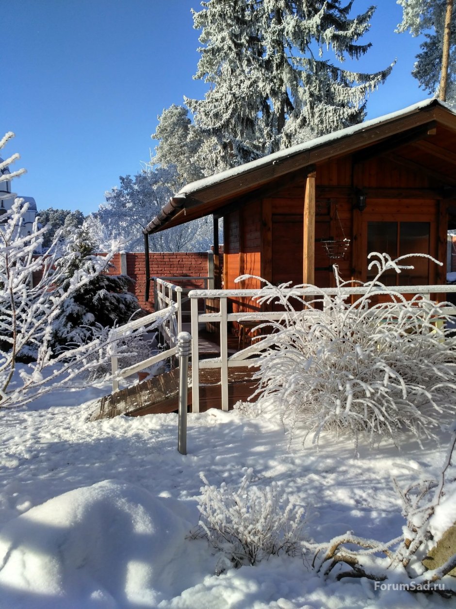 Дача зимой (58 фото)