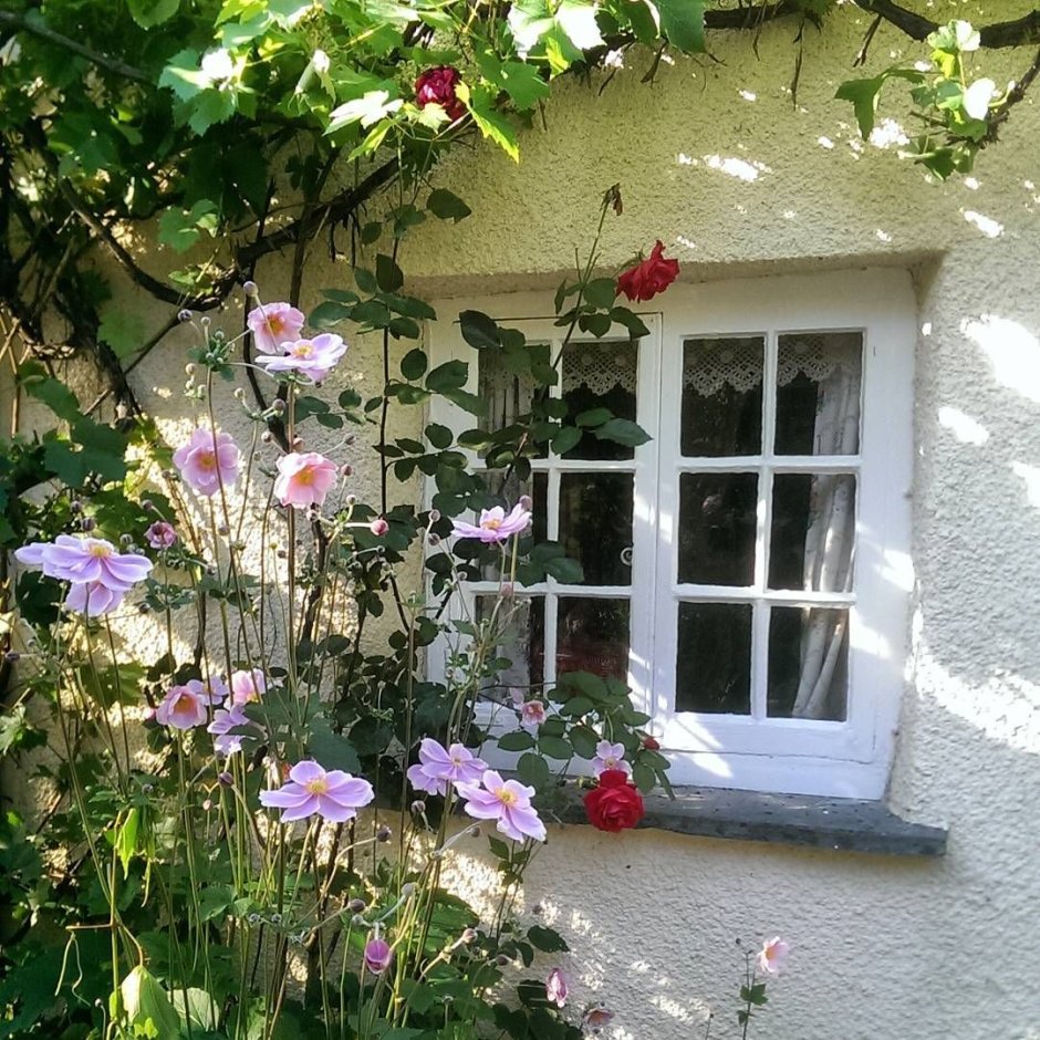 Дом окнами в сад (66 фото)