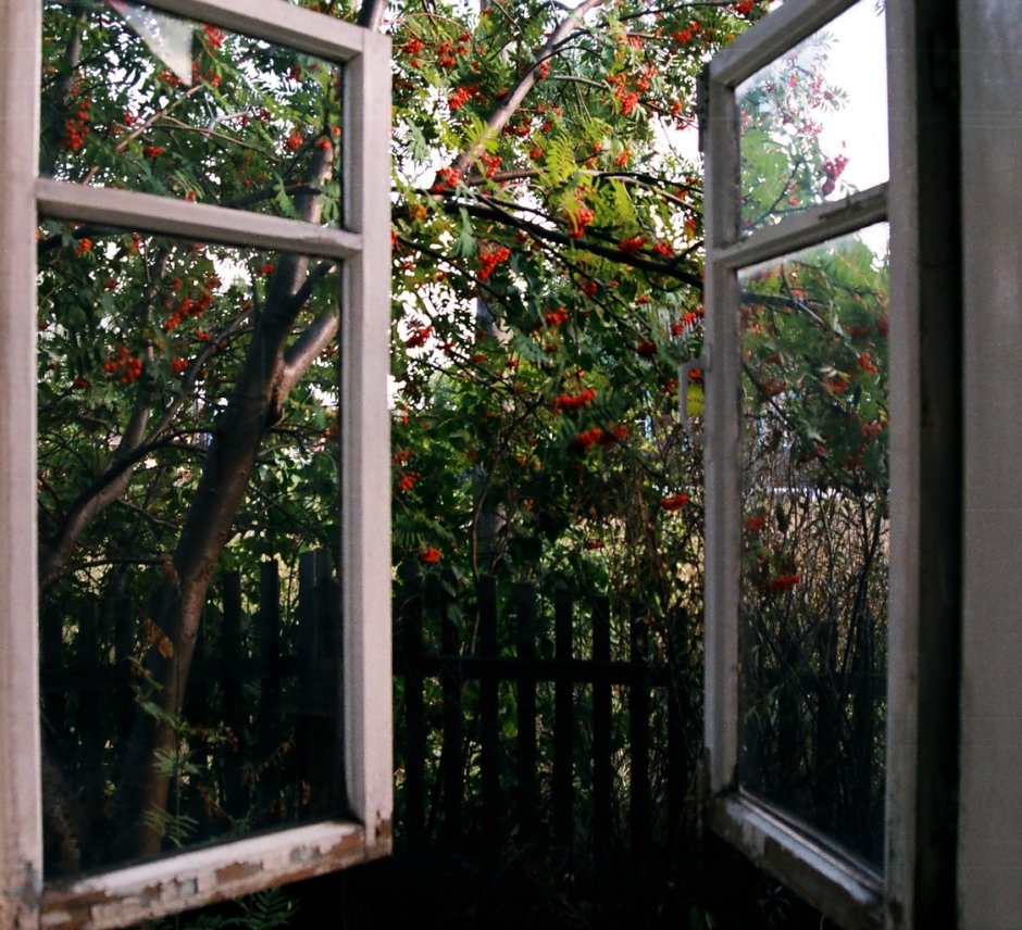 Панорамные окна на террасу в частном доме
