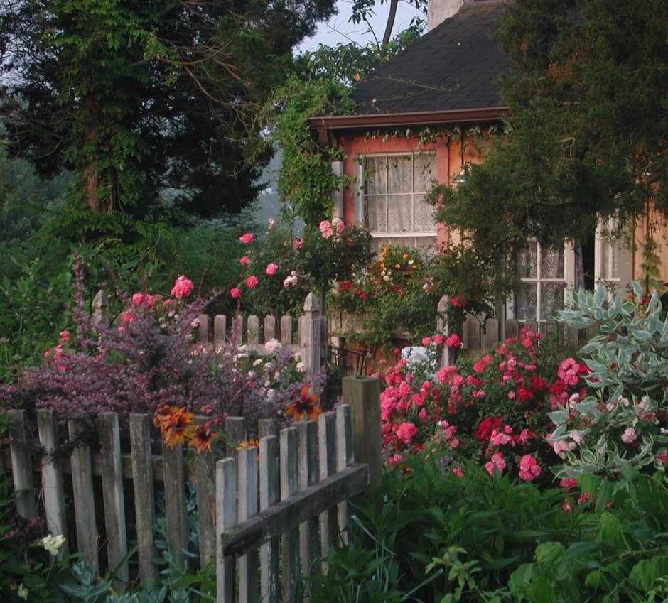 Домик окнами в сад пташица