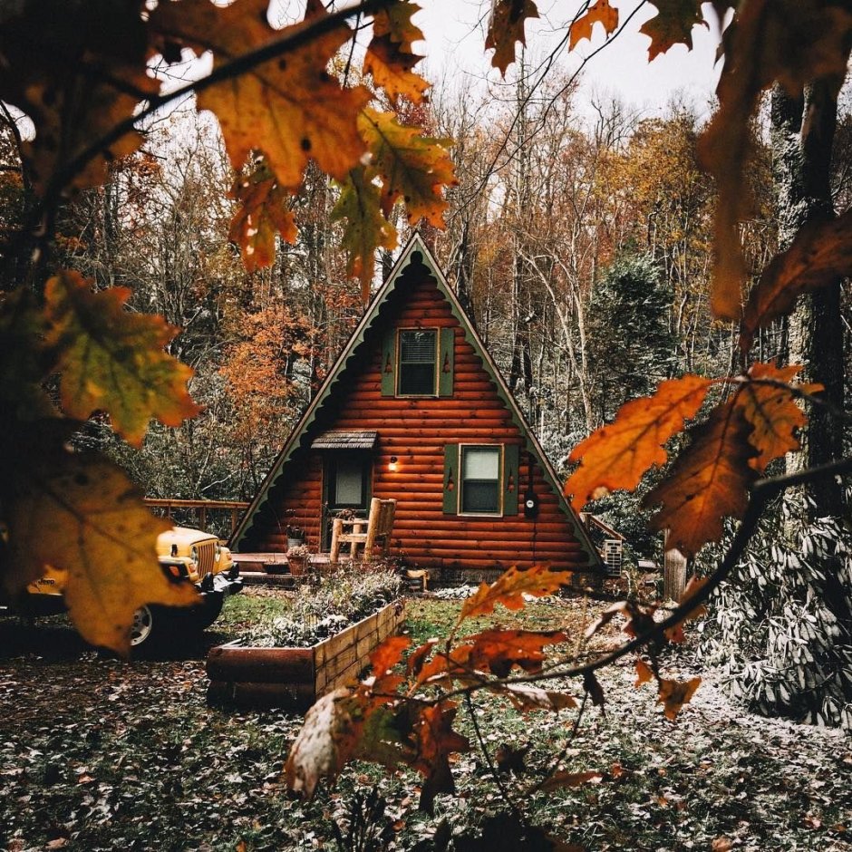 Осенний домик (81 фото)