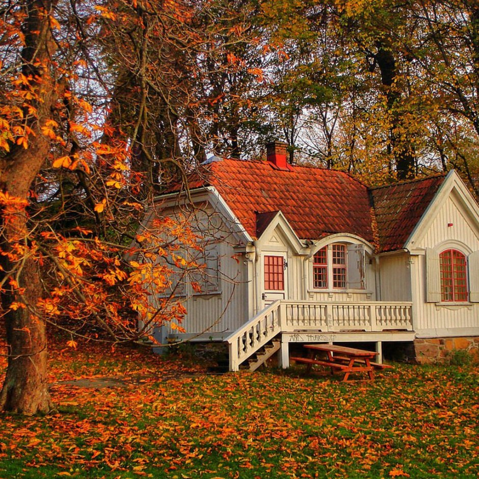 Дом осенью
