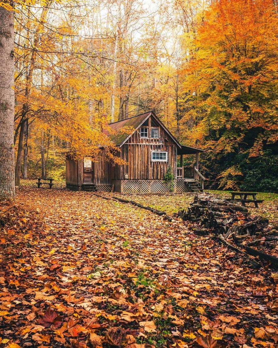 Осени-домик-Македонии